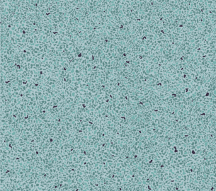 Grain-3