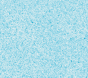 Grain-4