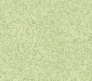 Grain-6